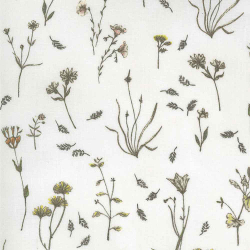 Botanicals | Janet Clare | Moda Fabrics | 16911-11 Parchment