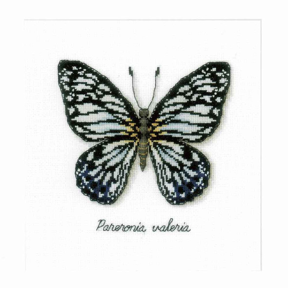 Vervaco | Counted Cross Stitch Kit | Blue Butterfly - Main Image