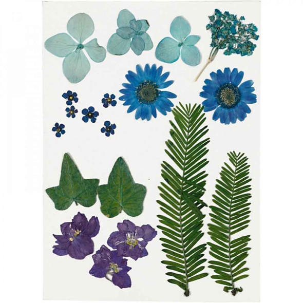 Pressed Flowers and Leaves | Blues | 19pcs | Creativ Company