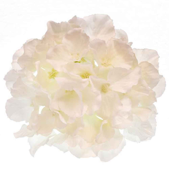 Silk Flowers | Hydrangea Head | White | Habico