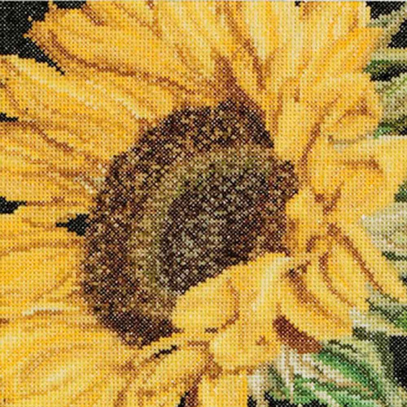 Thea Gouverneur Cross Stitch Kit Aida 15 x 14cm 5,9 x 5,5" | Sunflower 488