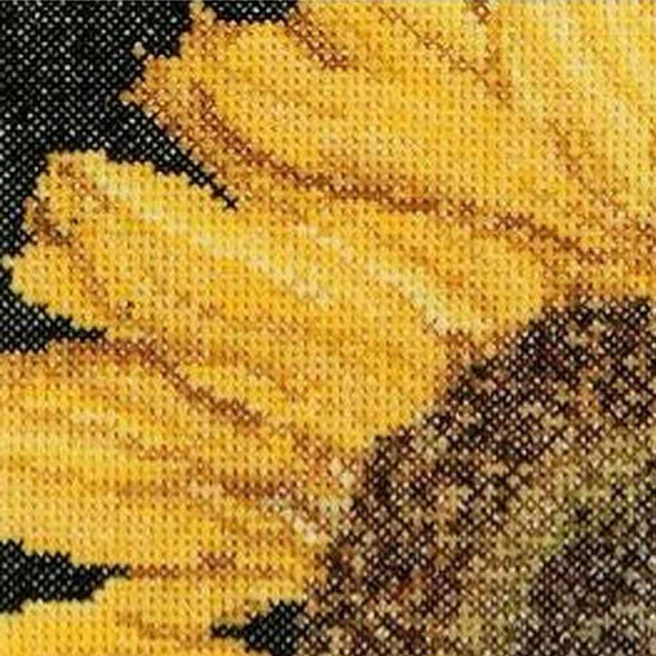 Thea Gouverneur Cross Stitch Kit Aida 15 x 14cm 5,9 x 5,5" | Sunflower 488