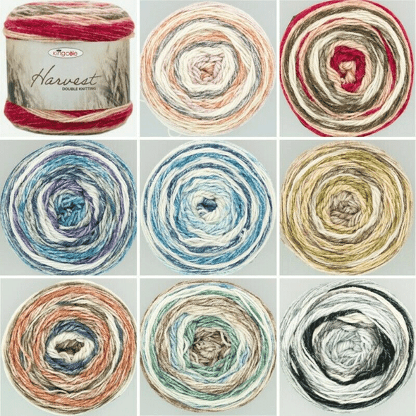 King Cole Harvest DK Variegated Yarn, 150g Cakes | Various Colours - Main Image
