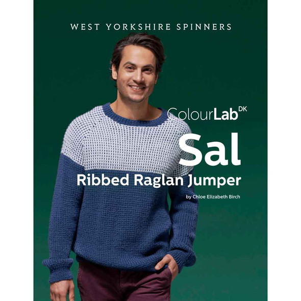 Sal Ribbed Raglan Jumper Knitting Pattern | WYS Colour Lab DK Knitting Yarn DBP0148 | Digital Download - Main Image