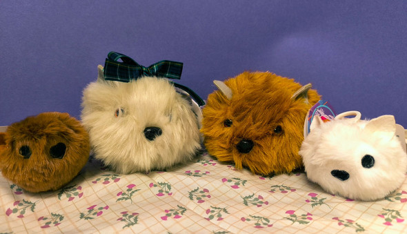The Haggis family