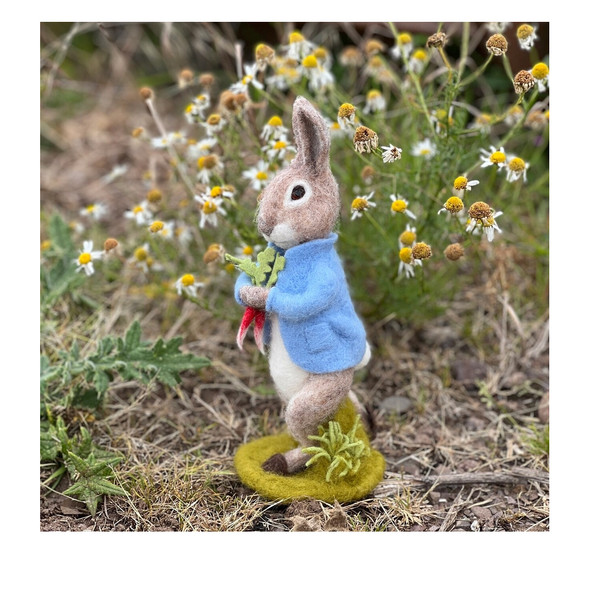 Peter Rabbit and the Stolen Radishes Felting Kit | The Crafty Kit Company