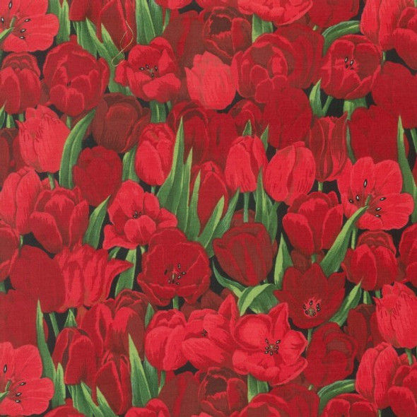 Tulips | Nutex UK Limited | 89160 104 | Red Tulips