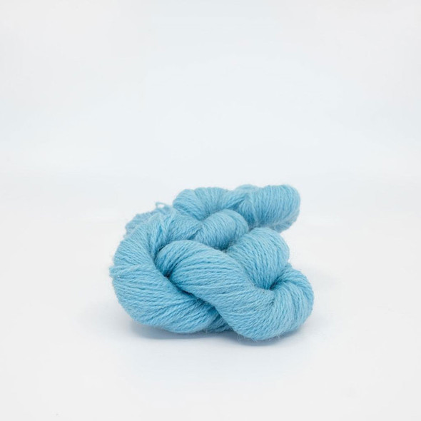 Appletons Crewel Wool in Hanks | 481 Kingfisher
