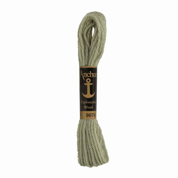 Anchor Tapestry Wool in 10 m Skeins | 9074