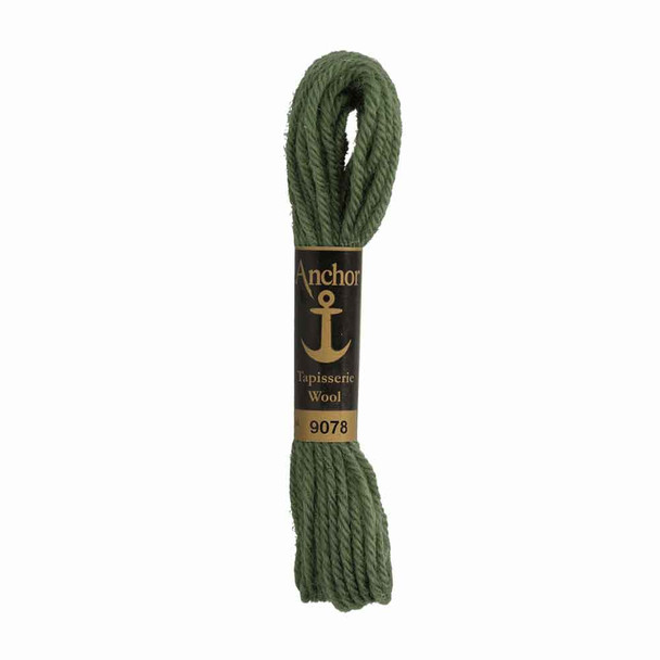 Anchor Tapestry Wool in 10 m Skeins | 9078