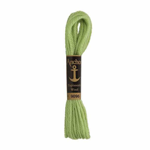 Anchor Tapestry Wool in 10 m Skeins | 9096