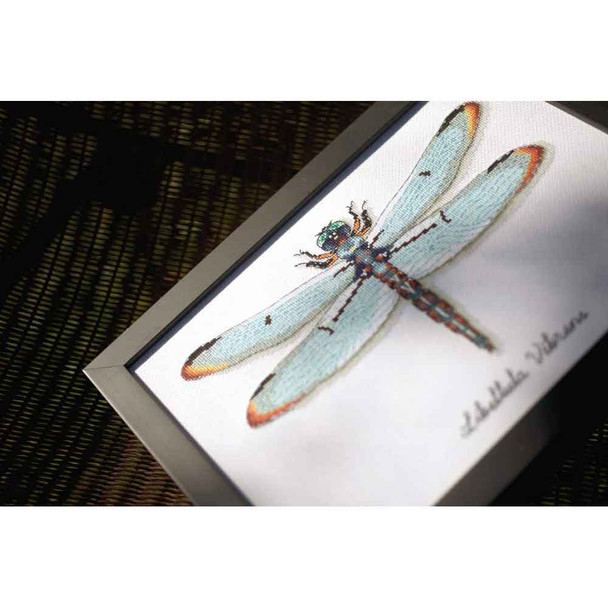 Blue Dragonfly Counted Cross Stitch Kit | Vervaco