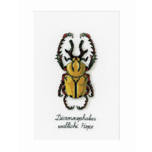 Vervaco | Counted Cross Stitch Kit | Golden Beetle - Main Image