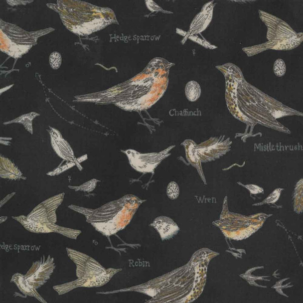 Botanicals Janet Clare Moda Fabric | 16910-16 Charcoal - Main Image