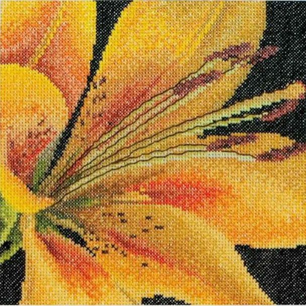 Thea Gouverneur Cross Stitch Kit Aida 15 x 14cm (5.9" x 5.5") | Lily 486