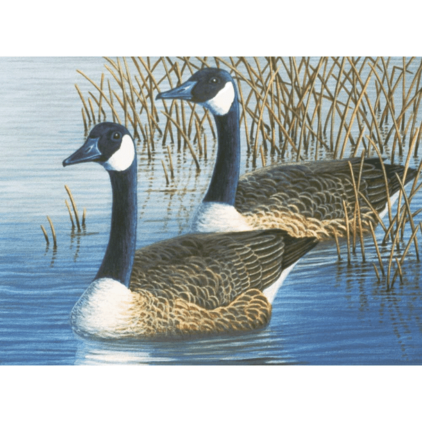 Royal & Langnickel | Painting by Numbers | A3 Kits | Geese Upon the Pond 