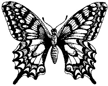 Mounted Butterfly Stamp 1 | Swallowtail | Personal Impressions (415d)