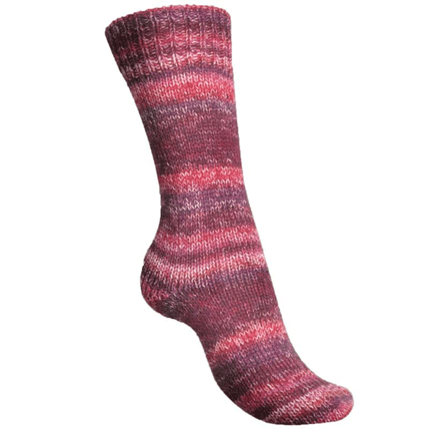 Regia Color 6 Ply Sock Knitting Yarn in 150g Balls | 04911 Aquarius Collection - Burgundy