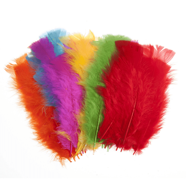 Assorted Large Coloured Feathers | Appox 50pcs | Trimits