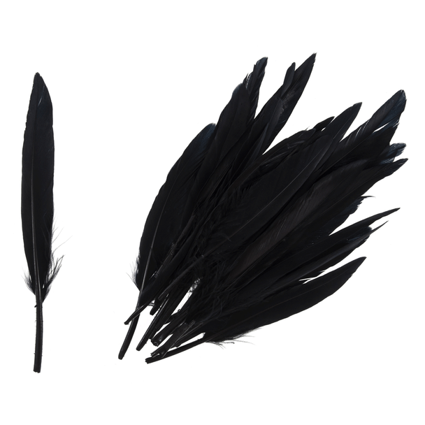 Duck Feathers | Trimits | Black