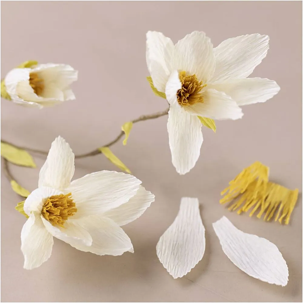 Mini Craft Kit | Crepe Paper Flowers | Magnolia Branch