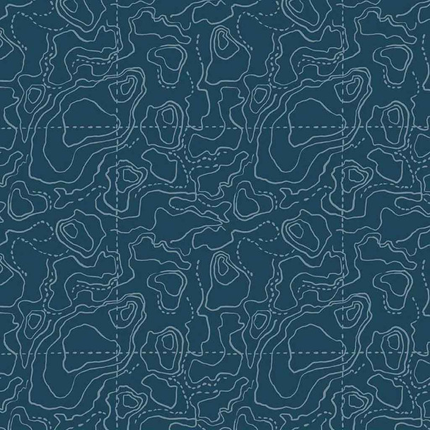 Topography on Navy | Wildwood Wander | C12434-Navy