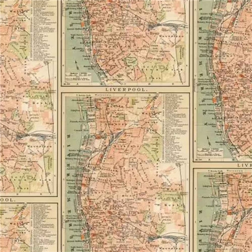 Tim Holtz's Eclectic Elements | Palette - Vintage City Map | Free Spirit Fabrics