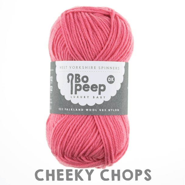 WYS Bo Peep Luxury Baby DK Knitting Yarn, 50g | 210 Cheeky Chops