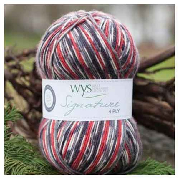 WYS Signature 4 Ply Sock Yarn, 100g Balls | Country Bird Collection - Bullfinch
