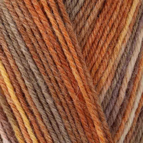 Opal Regenwald 14 (XIV) 4 Ply Multi-Coloured Self Patterning Sock Yarn, 100g Balls - Shade 9624 Close Up