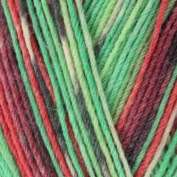 Opal Regenwald 14 (XIV) 4 Ply Multi-Coloured Self Patterning Sock Yarn, 100g Balls - Shade 9620 Close Up