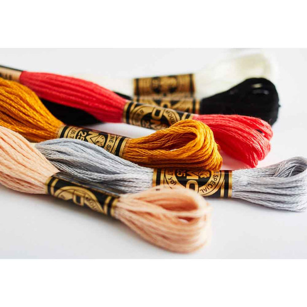 DMC Stranded Cotton | Colours 300-399 - Main