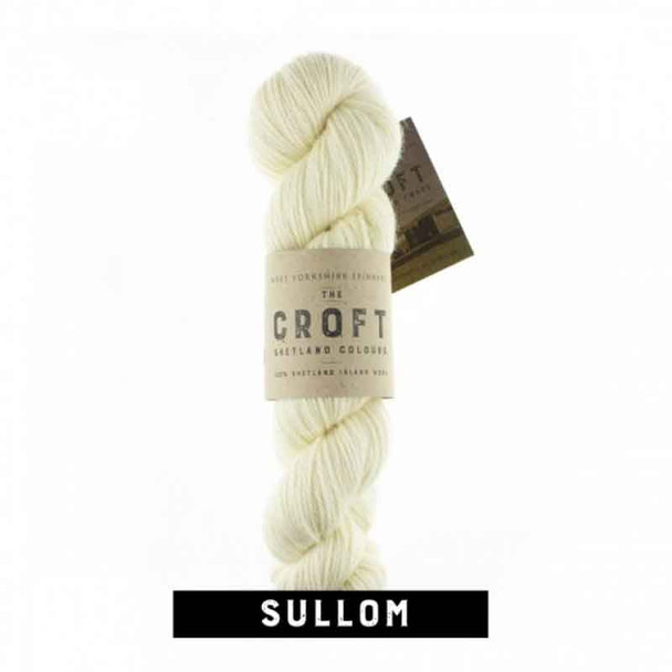 WYS The Croft Shetland Aran Solid Colours Knitting Yarn 100g Hanks | 010 Sullom