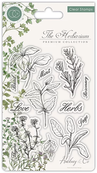 Craft Consortium | The Herbarium | Herbs Stamp Set