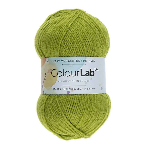 WYS ColourLab DK Knitting Yarn, 100g Balls | 186 Pear Green