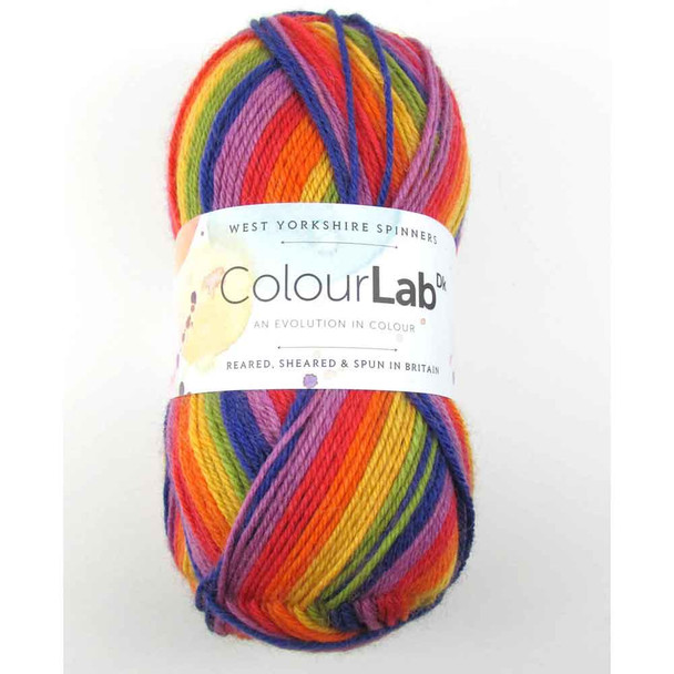 WYS ColourLab DK Knitting Yarn, 100g Balls | 891 Technicolour