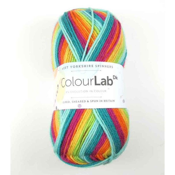 WYS ColourLab DK Knitting Yarn, 100g Balls | 894 Prism Brights