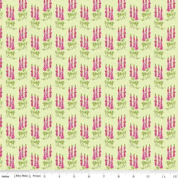 Sweet Melody Riley Blake EQS Fabric | RBC8403-Light Green