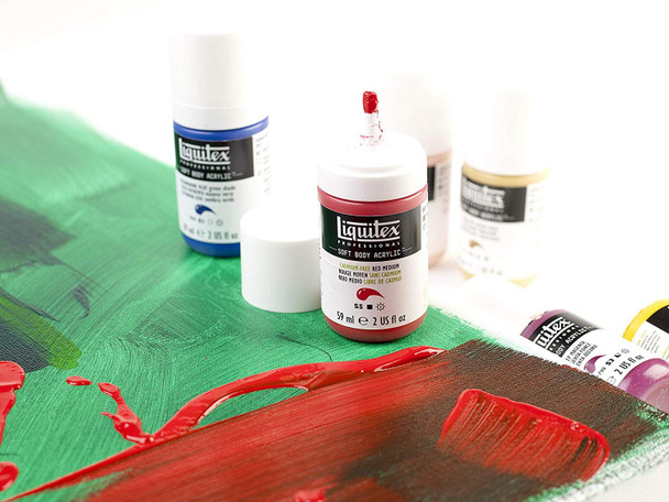 Liquitex Acrylic Paint Set of 6 x 22ml Bottles - paints in use (suggestion only)