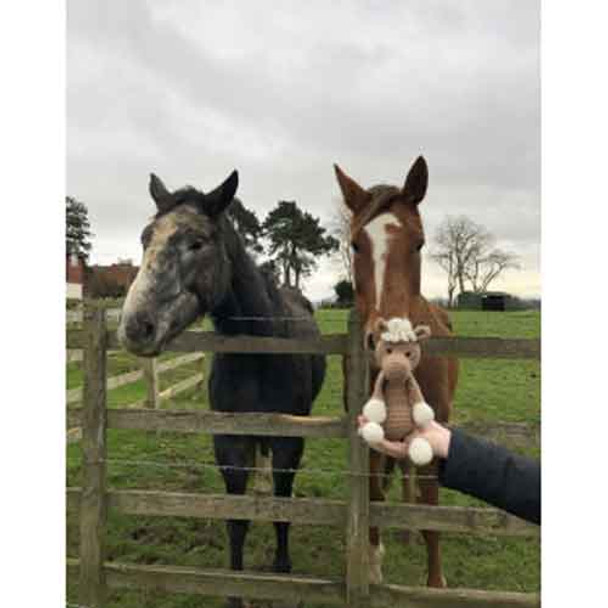 Toft Amigurumi Crochet Kits | Edward's Menagerie Animals | Kerry Lord | Chardonnay the Pony