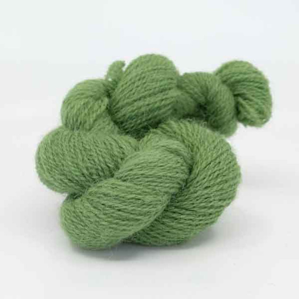 Appletons Crewel Wool in Hanks | 403 Sea Green