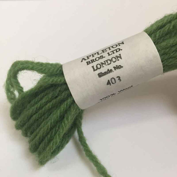 Appletons Crewel Wool in Skeins | 403 Sea Green