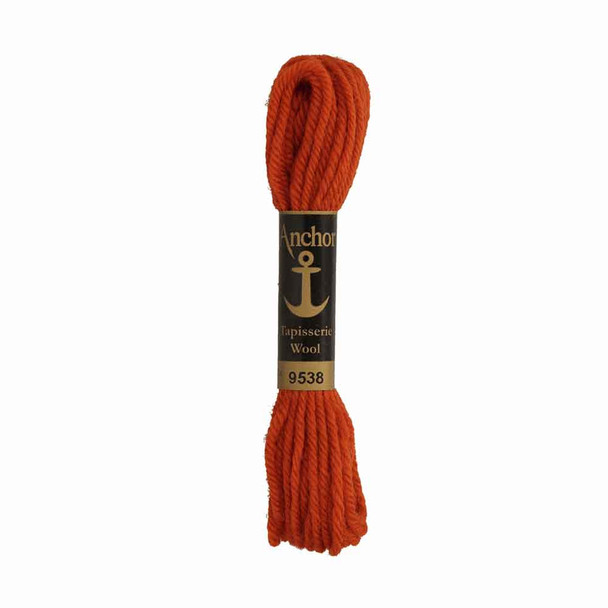 Anchor Tapestry Wool in 10 m Skeins | Shade 9538