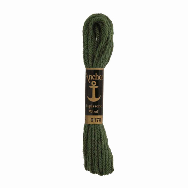 Anchor Tapestry Wool in 10 m Skeins | Shade 9178