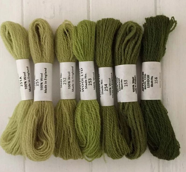 Appletons Crewel Wool in Skeins | Grass Green - Main Image