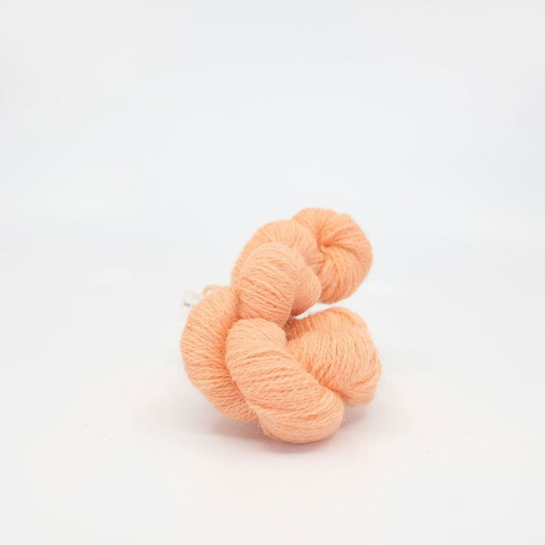 Appletons Crewel Wool in Hanks | 861 Coral