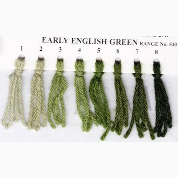 Appletons Crewel Wool in Hanks | Early English Green - Main Image
