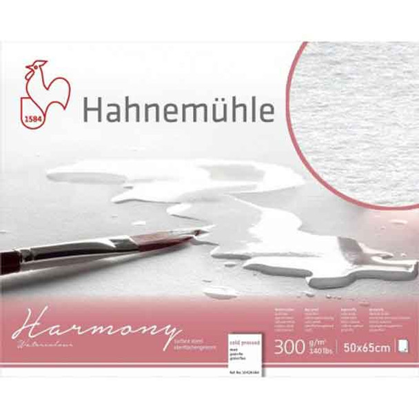 Hahnemuhle Harmony Watercolour Paper Surfaced Sized - 50x65 | Cold Pressed