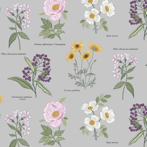 Botanic Garden | Lewis and Irene | A453.1 Botanic Flowers on Lightest Grey | Half Metre Units