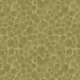 Bumbleberries 100% Cotton | Fresh Olive | Lewis & Irene
